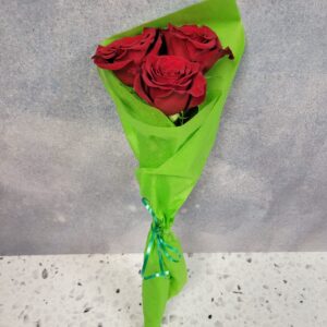 Roses for March 7 *Earthlings concert